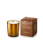 Apotheke Pumpkin Ginger Classic Candle