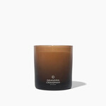 DeAndra Craigman Studios Signature Azure Bloom & Water Lily Candle & Playlist