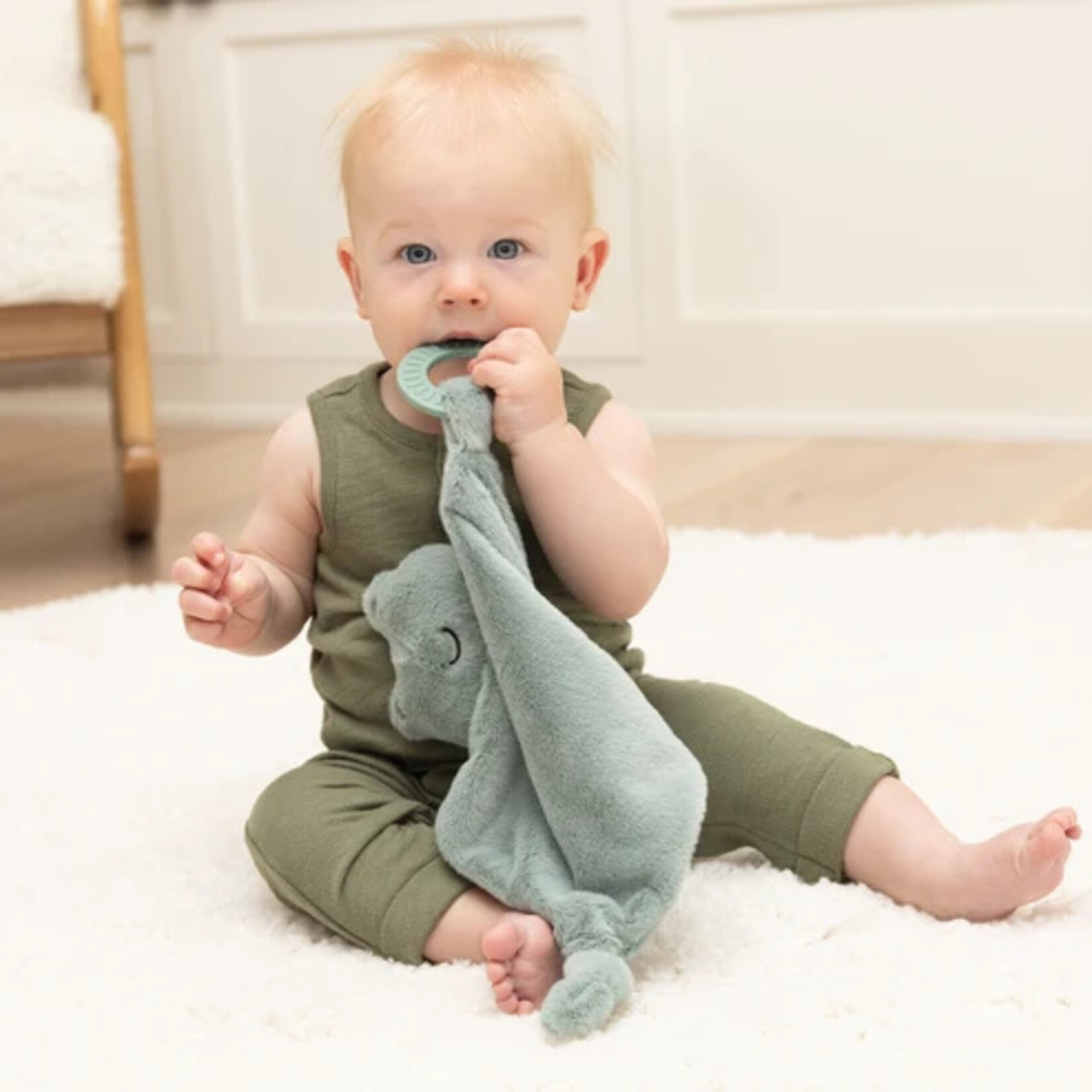Bella Tunno Freddie the Frog Teether Buddy