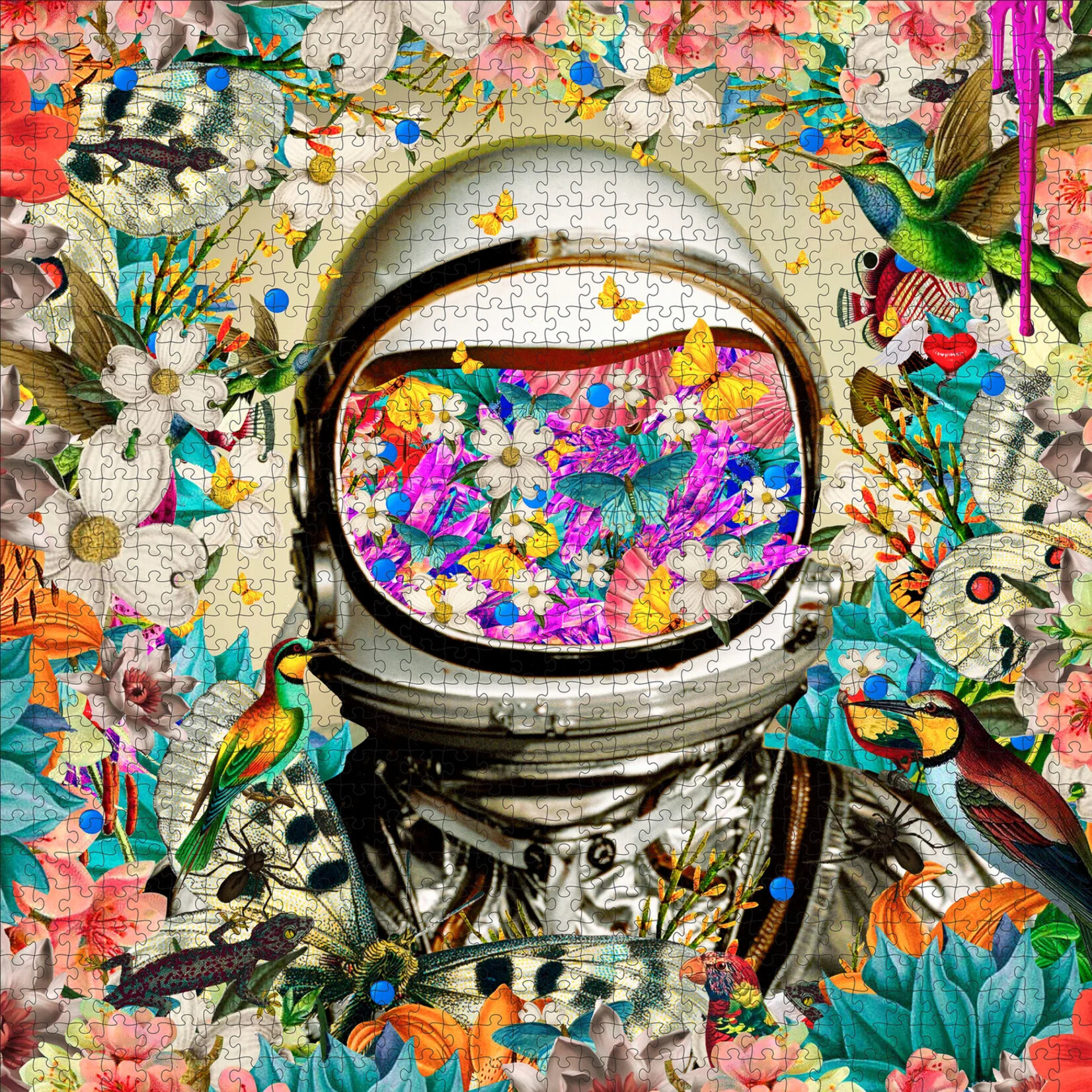 Pomegranate David Krovblit: Astronaut 1000pc Puzzle