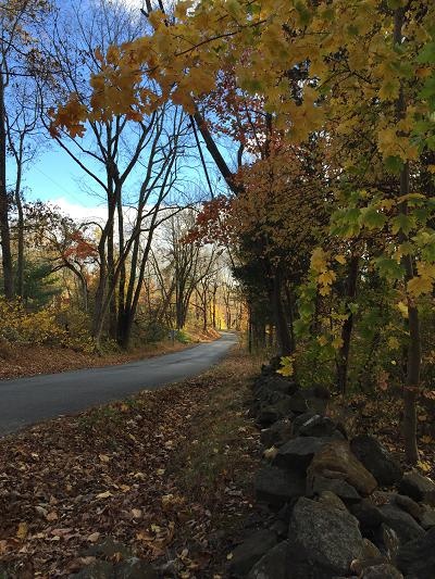 The top 21 nj mountain bike clubs Community - Sourland Cycles