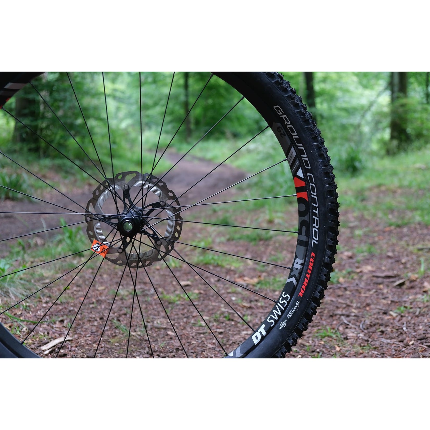 Specialized GROUND CONTROL 2BR TIRE 650BX3 650BX3.06FATTIE - Sourland Cycles