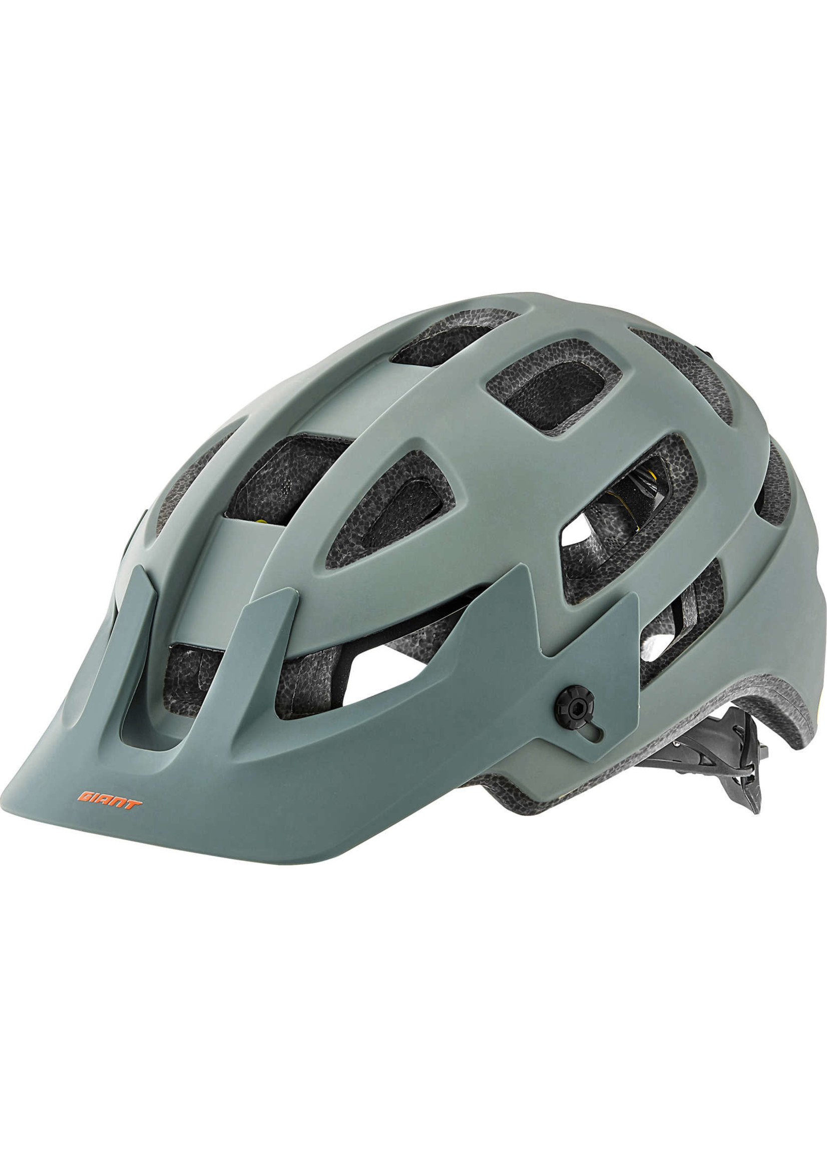 Giant Giant Rail SX MIPS  Helmet