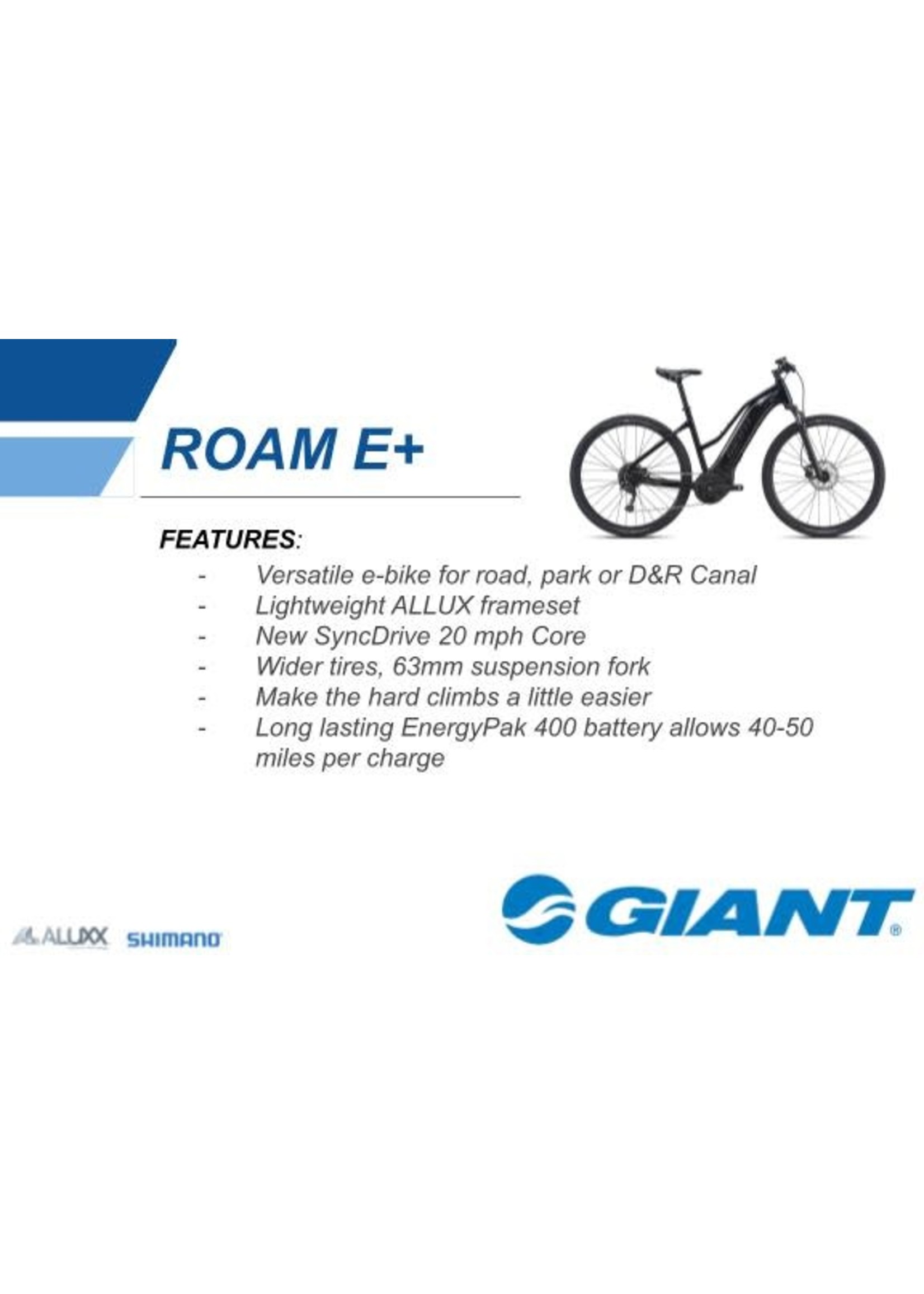 Giant Giant Roam E+ 20MPH GTS