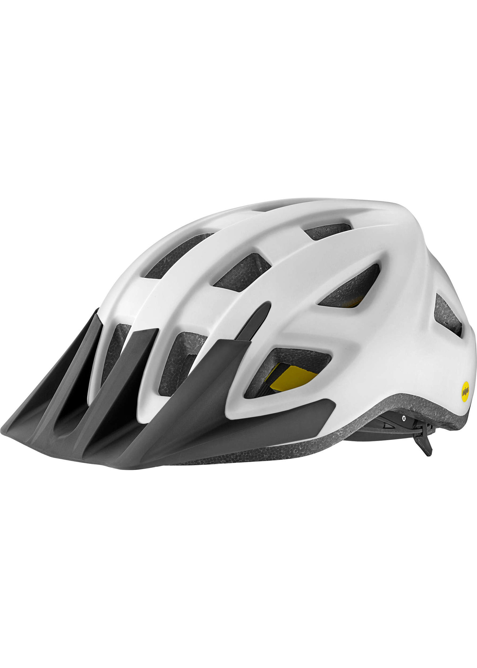 Giant Giant Path MIPS Helmet