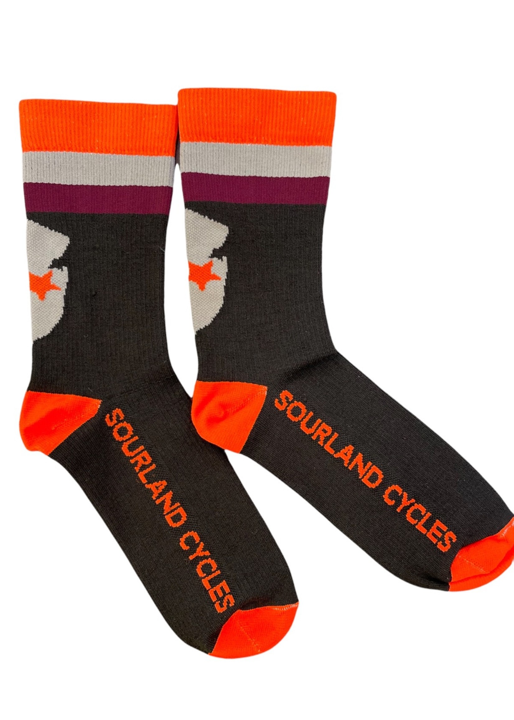 Sock Guy Sourland Cycles Socks