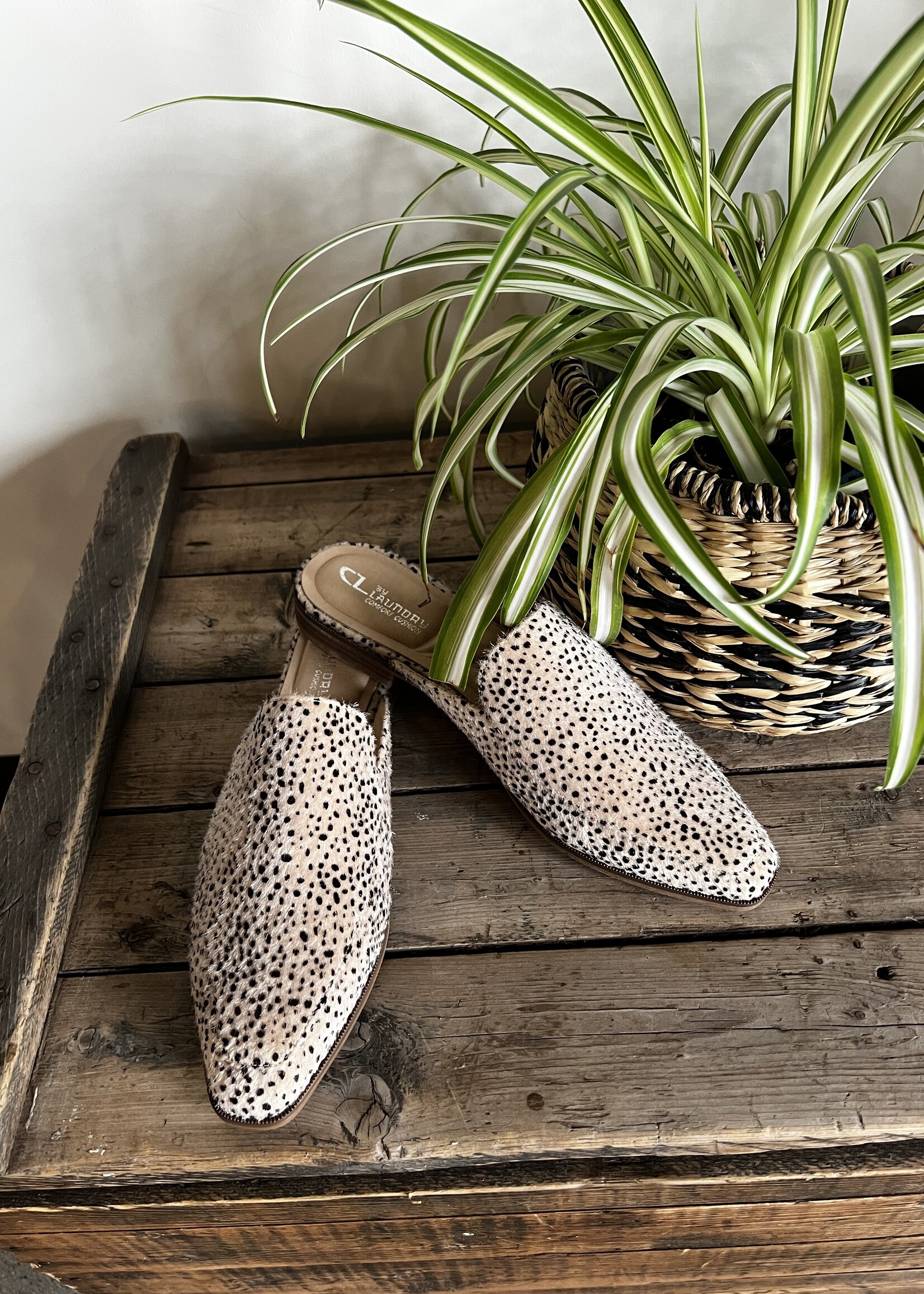 Chinese Laundry Softest  Mule