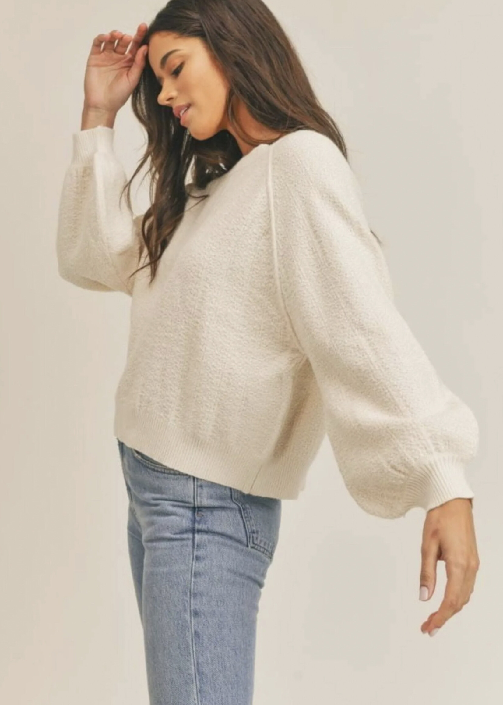 Sadie & Sage Running Wild Raglan Sweater