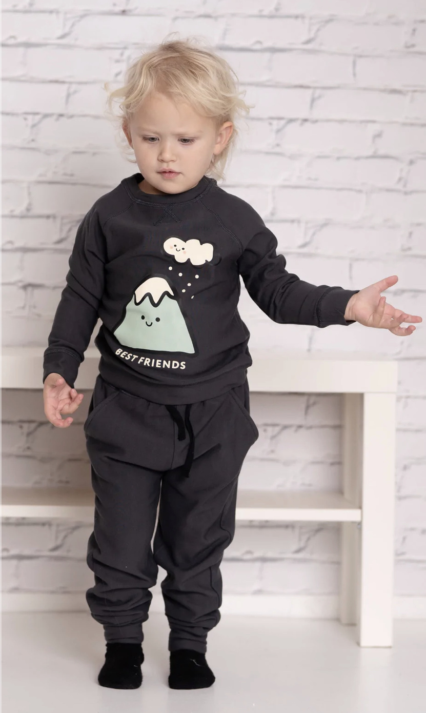 Silkberry Baby Bamboo Fleece Sweatshirt