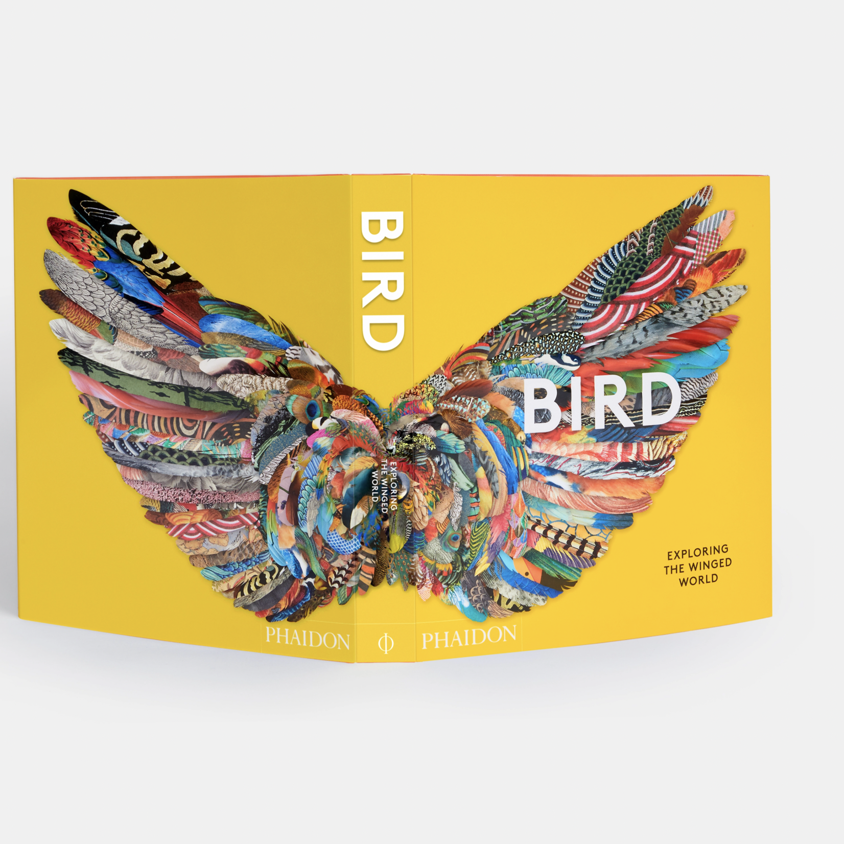 Bird: Exploring The Winged World