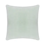 Robin's Egg Blue Velvet Pillow, 22x22