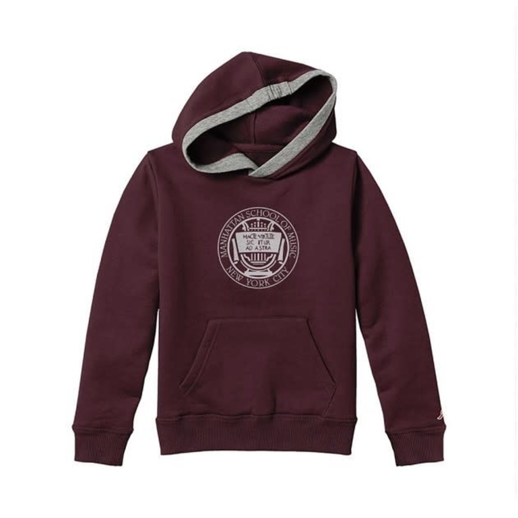 Gray Youth Hoodie with MSM Seal