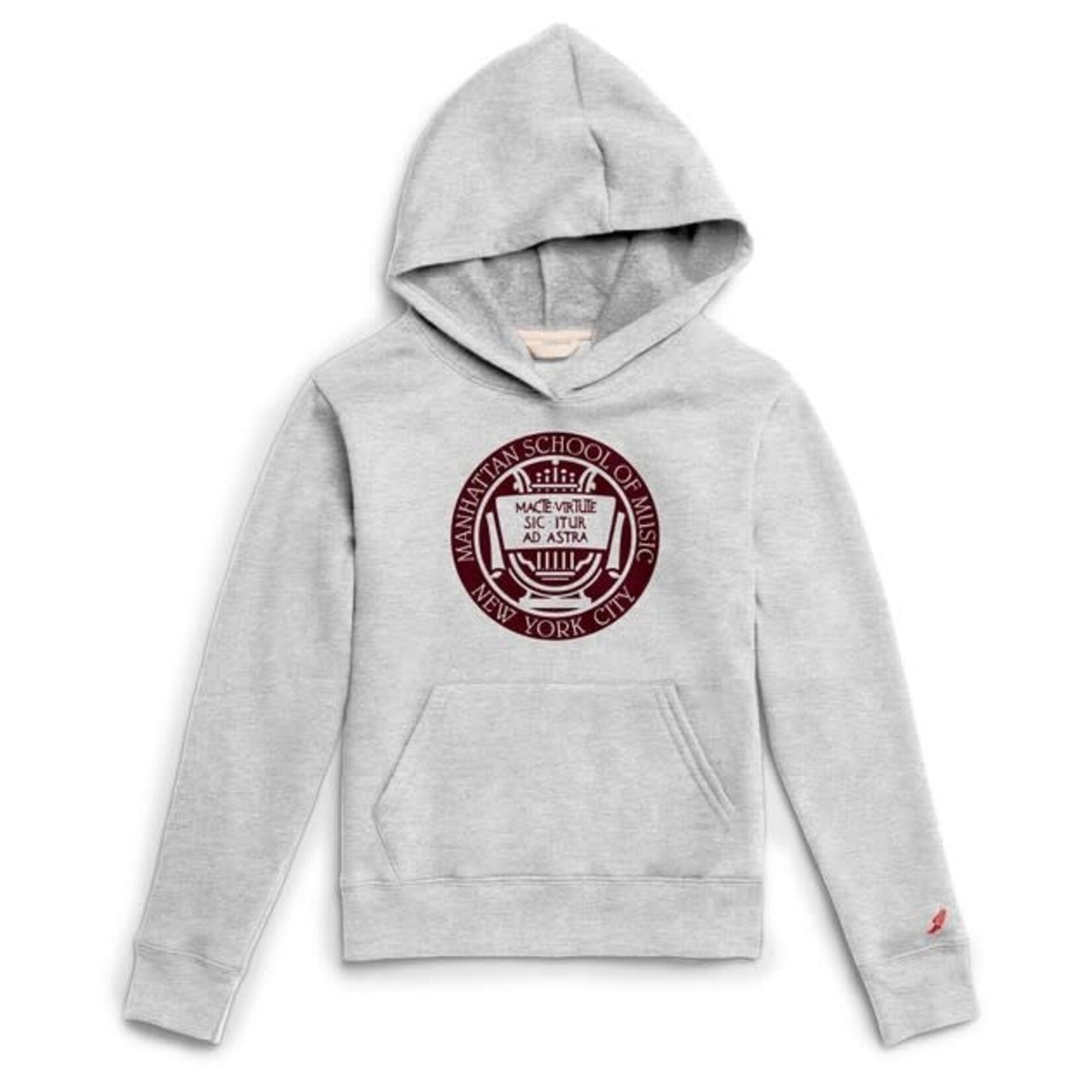 Gray Youth Hoodie with MSM Seal