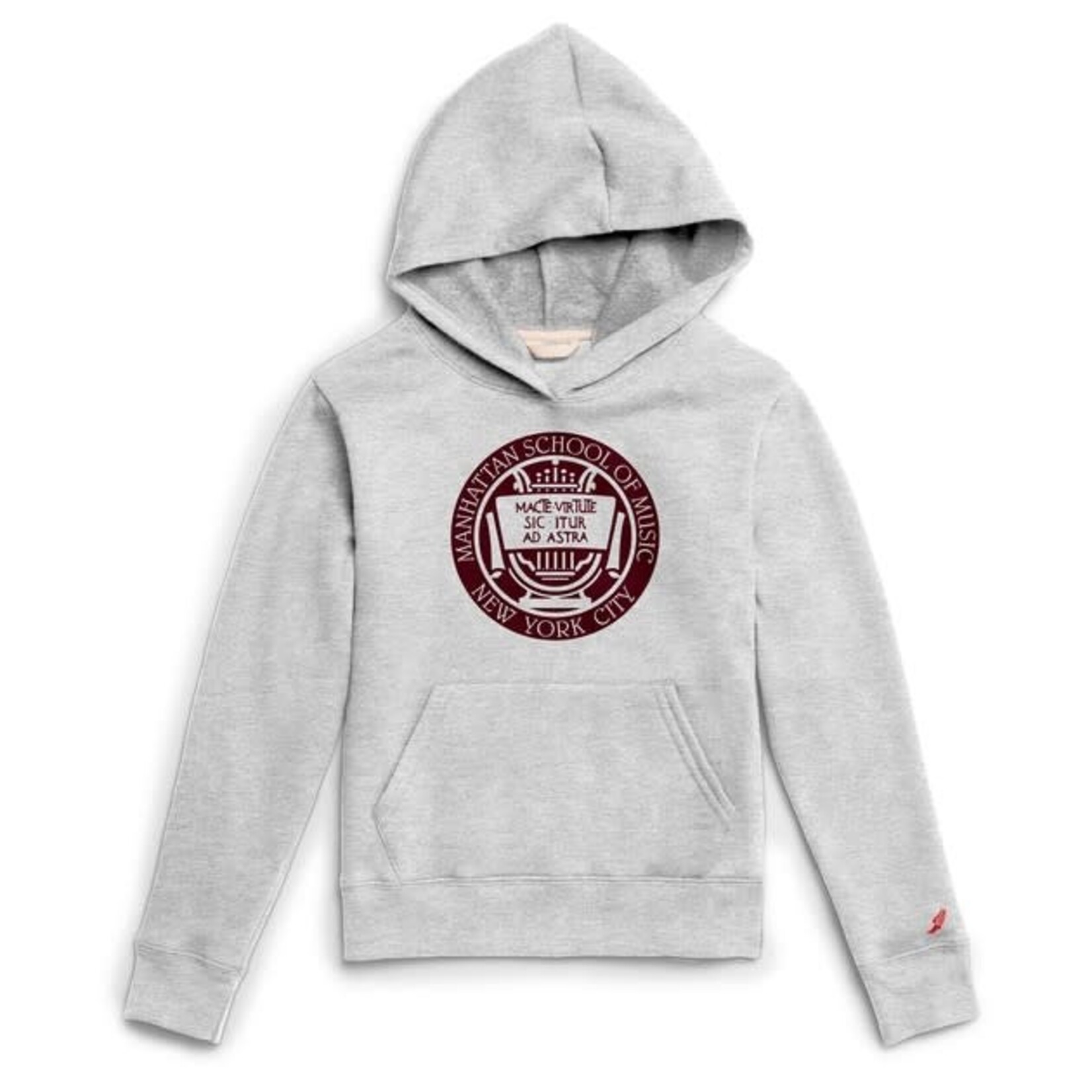 Youth Hoodie - Gray with MSM Seal