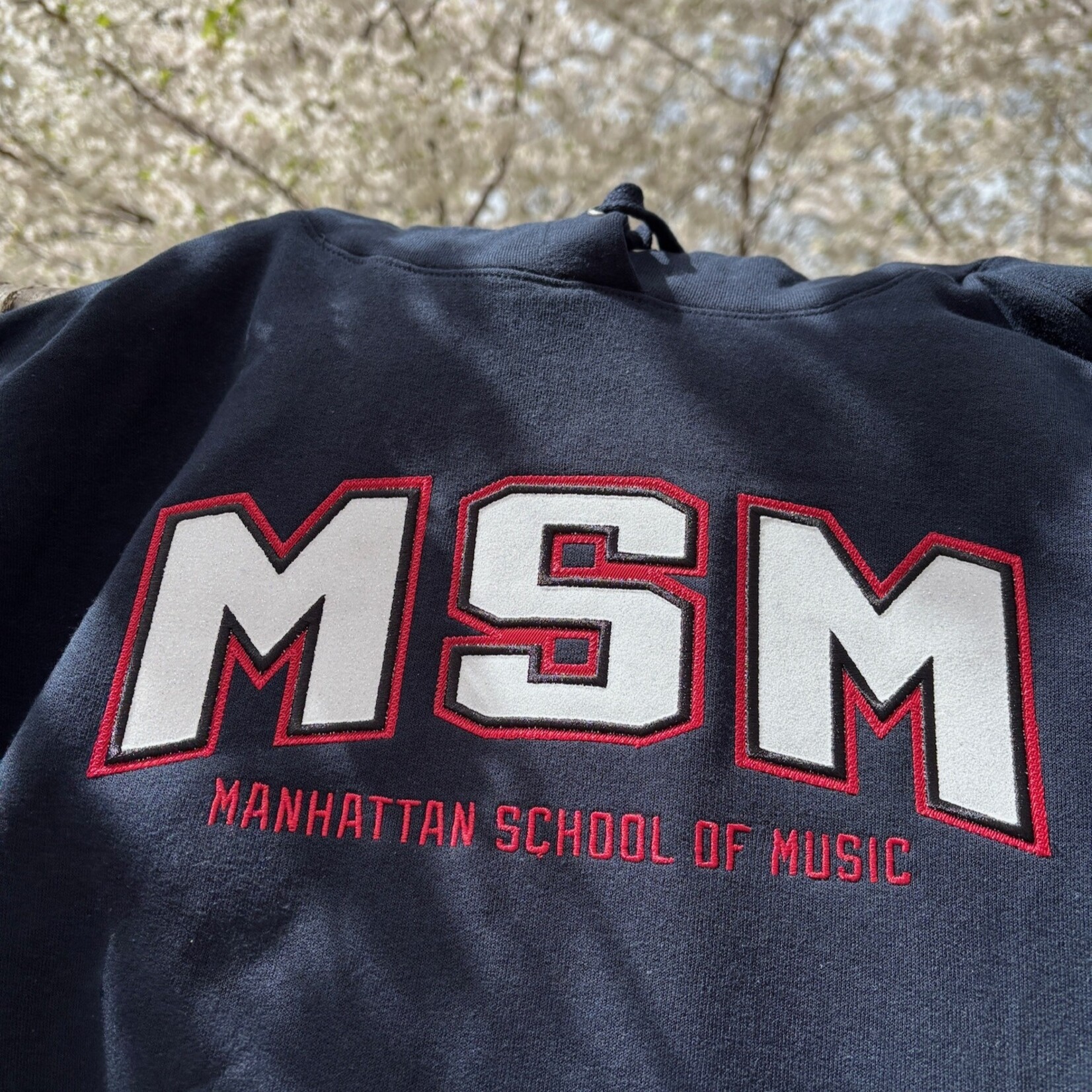 *Clearance* Navy Champion (Sparkly MSM) Hoodie