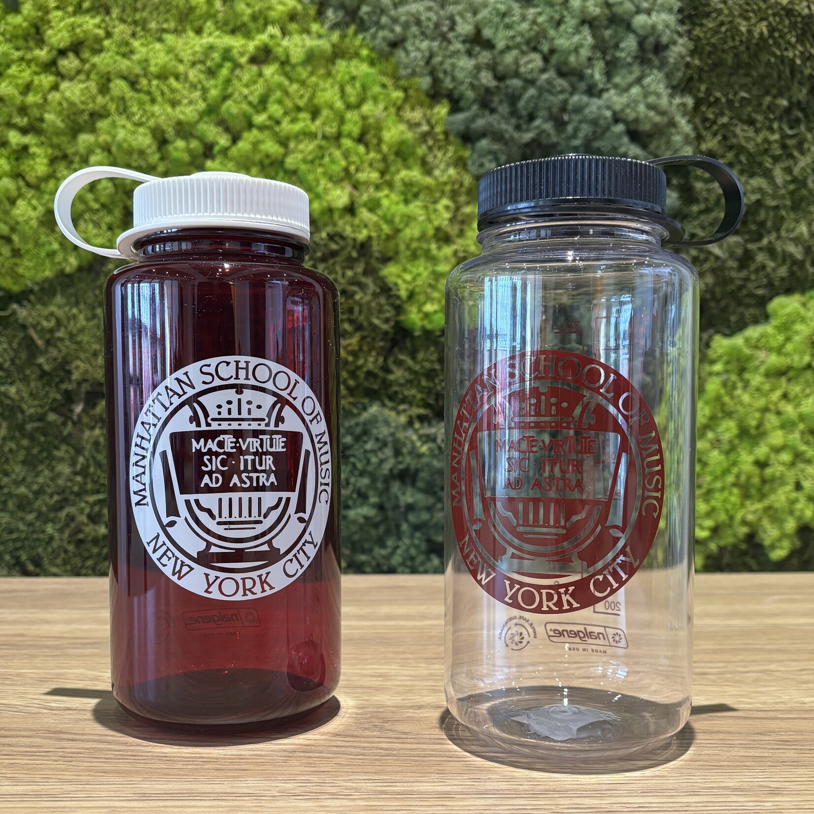 *Customizable* Newly Accepted Student Bundle