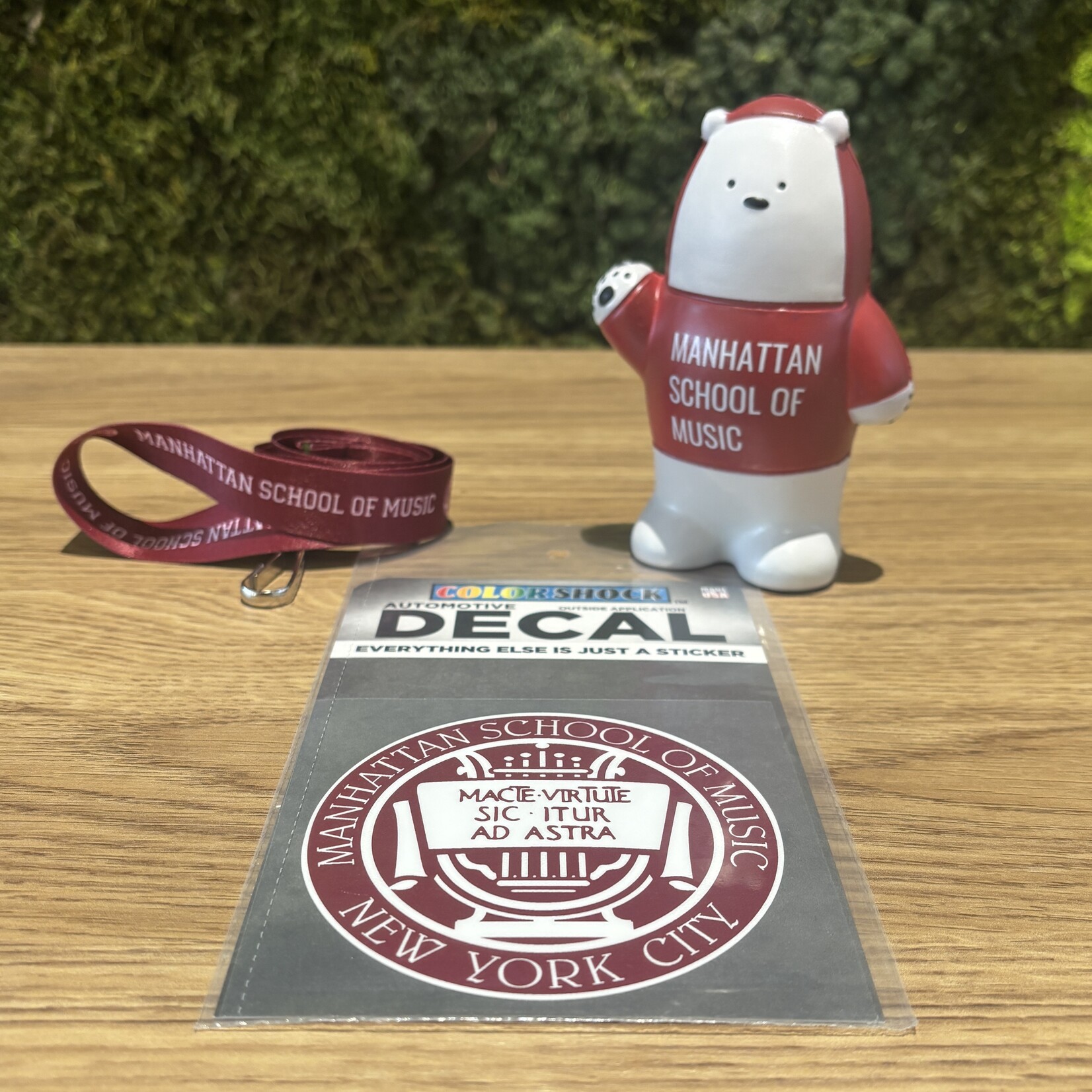 *Customizable* Newly Accepted Student Bundle