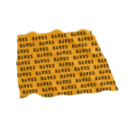 Augusta Sportswear Hawks 2026 Bandana