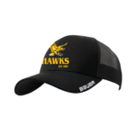 Hawks '26 Snapback