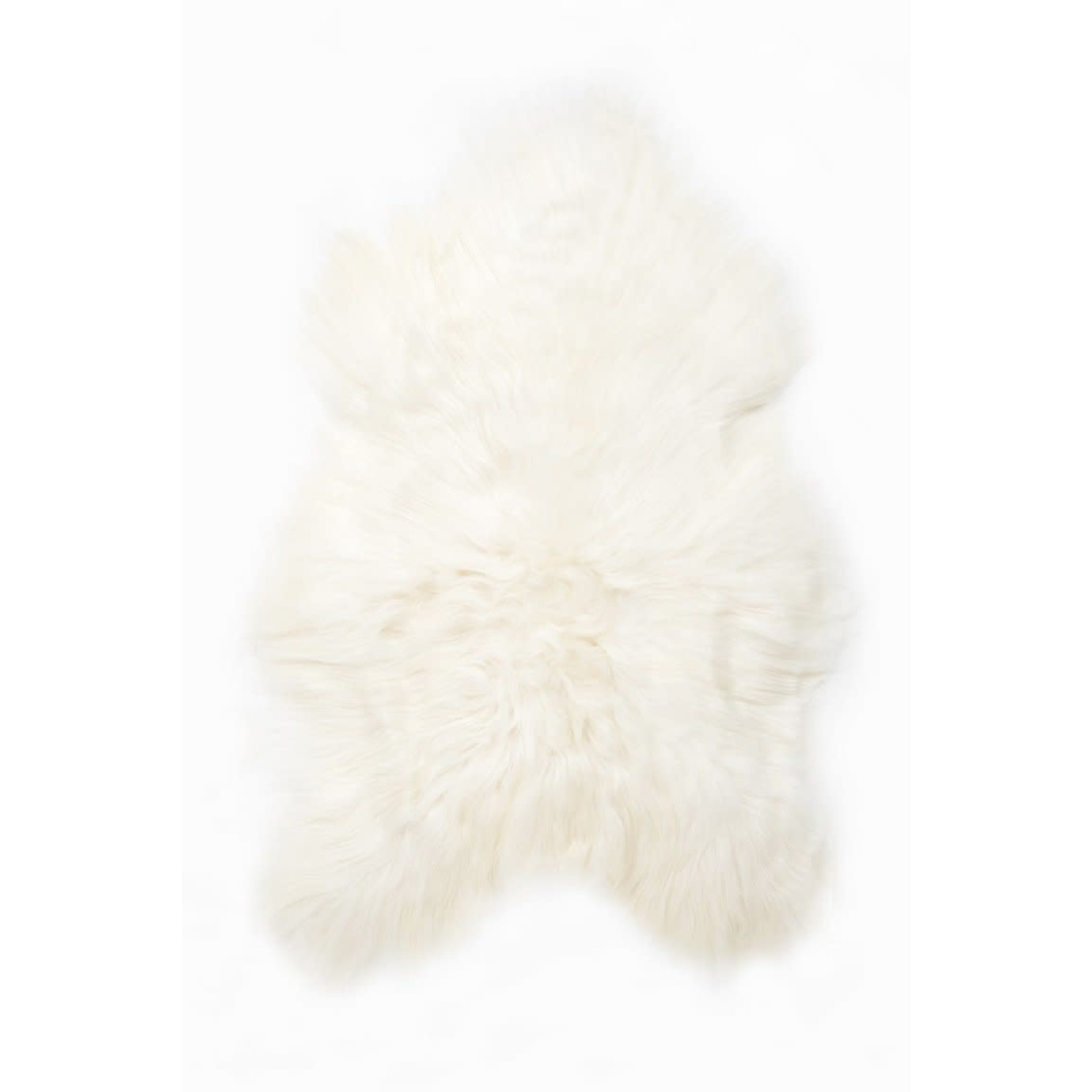 Black Sheep White Light BSWL | Icelandic Sheepskin | White