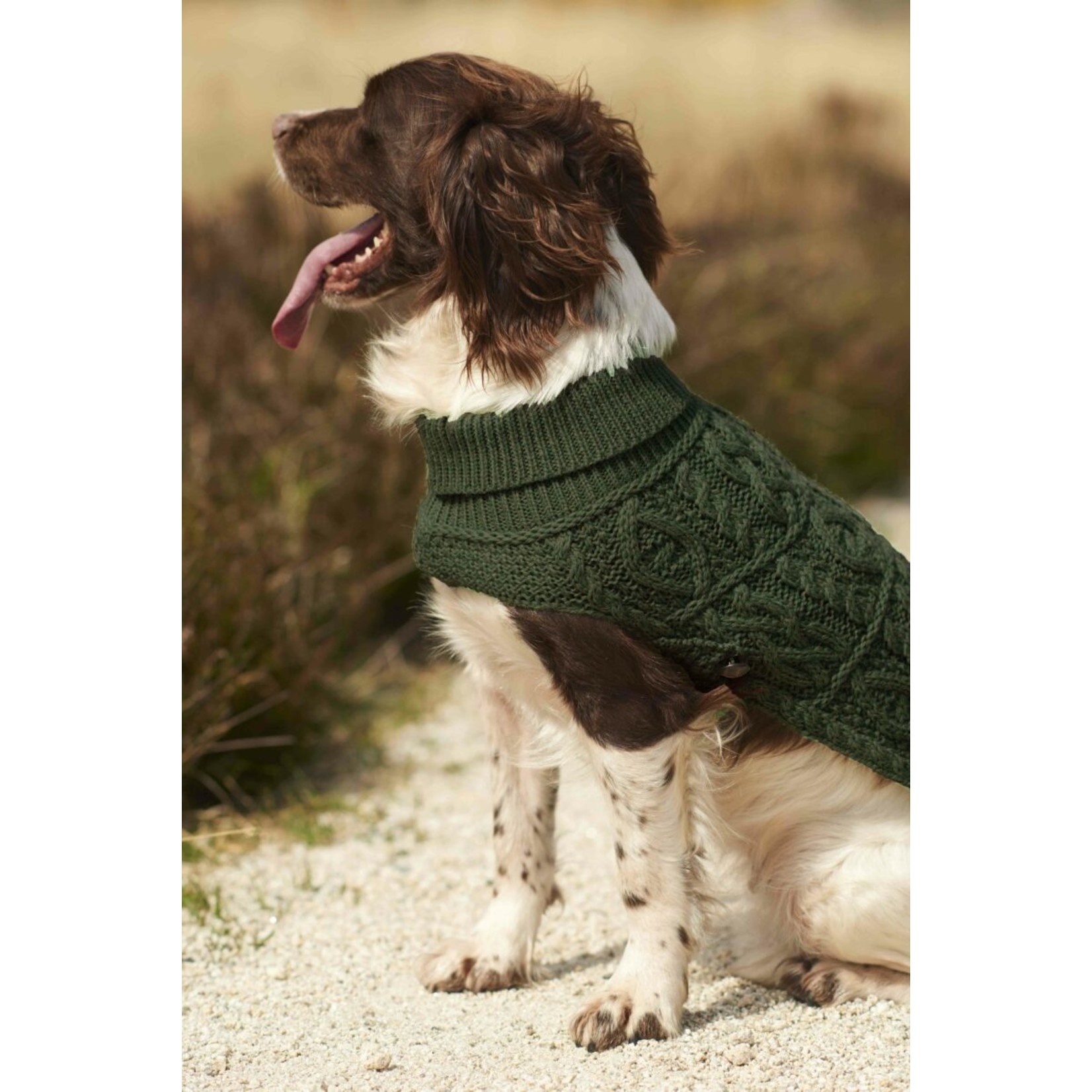 springer spaniel dog jumper