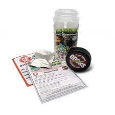 BIOBOMBS BIOBOMB VEHICLE DEODORIZATION KIT