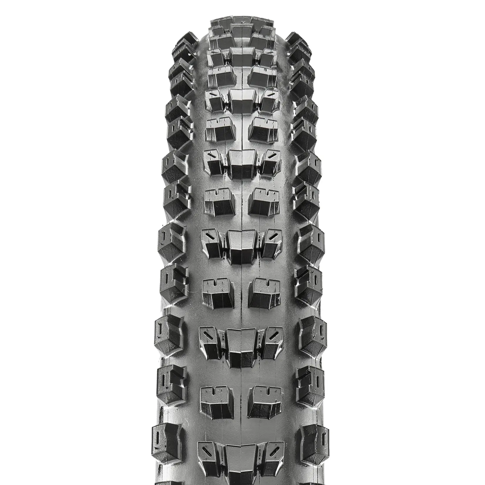 Maxxis Dissector Tire - 29 x 2.6, Tubeless, Folding, Black, 60tpi, 3CMaxxTerra, EXOProtection