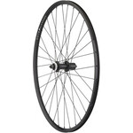 Quality Wheels Value Double Wall Series Rim+Disc Rear Wheel - 700, QR x135mm, Center-Lock, HG10, Black, Clincher, 32H