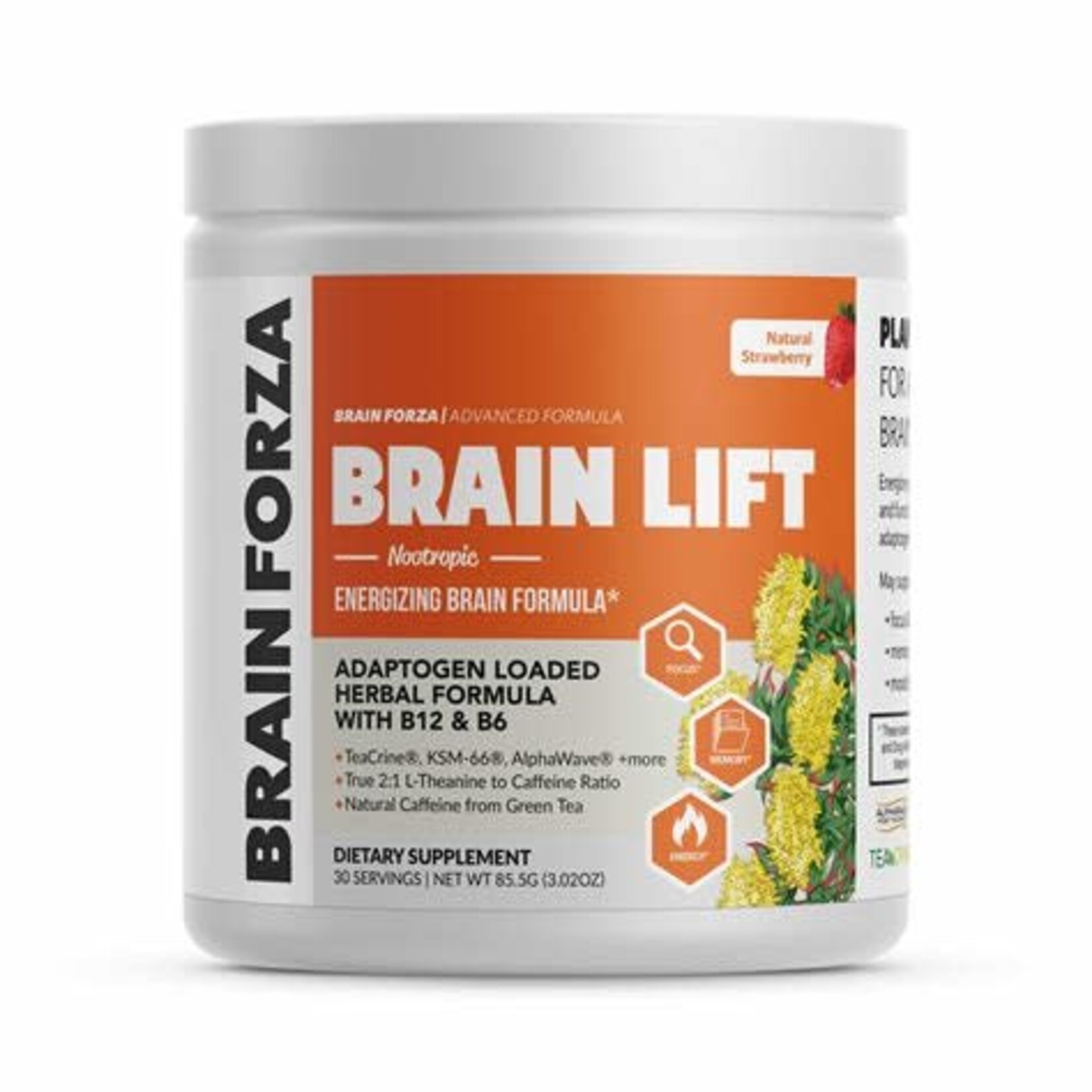 Brain Forza BrainForza-Brain Lift