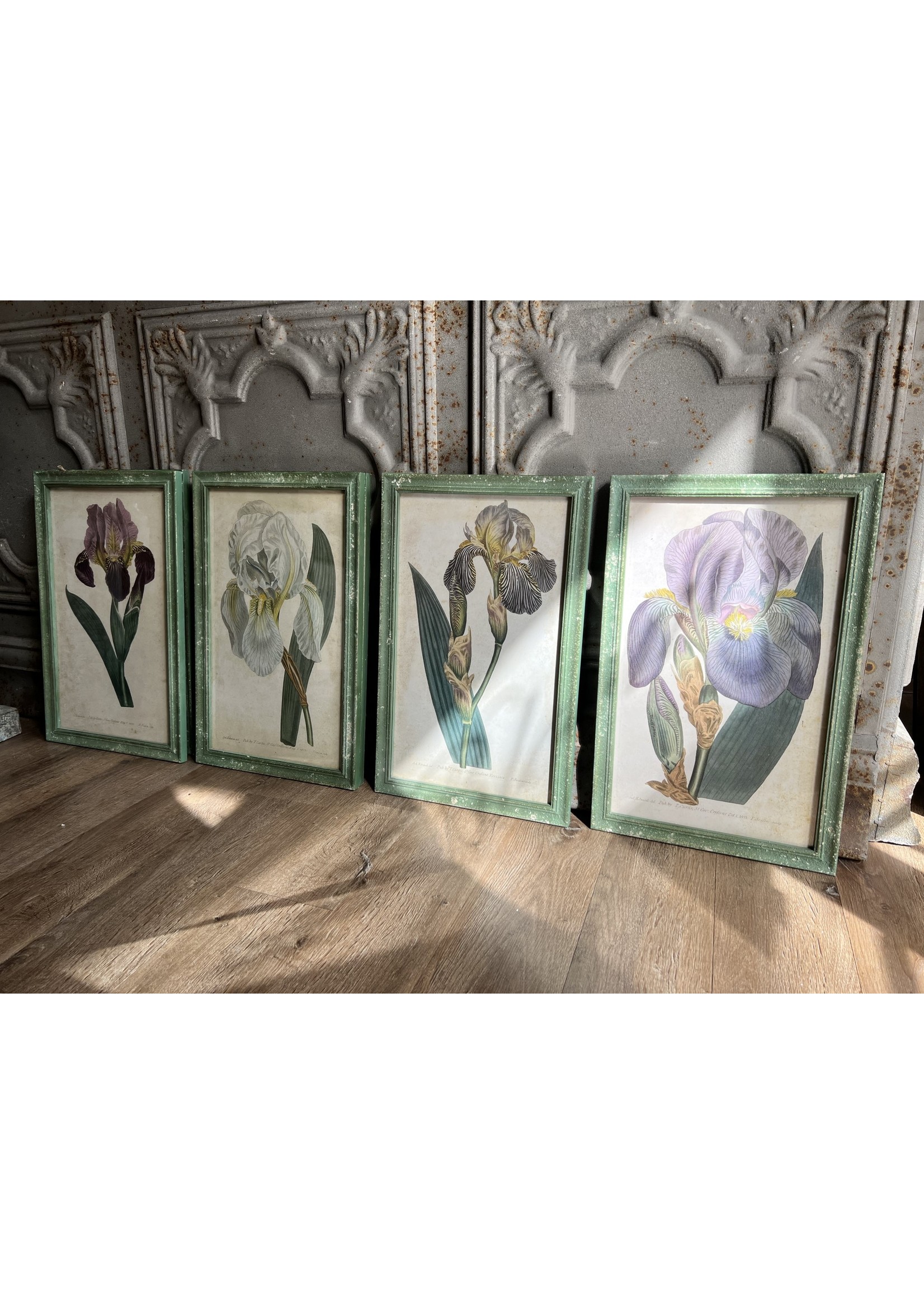 Wood Framed Vintage Iris