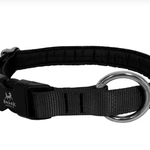 Nahak Padded Dog Collar With Clip