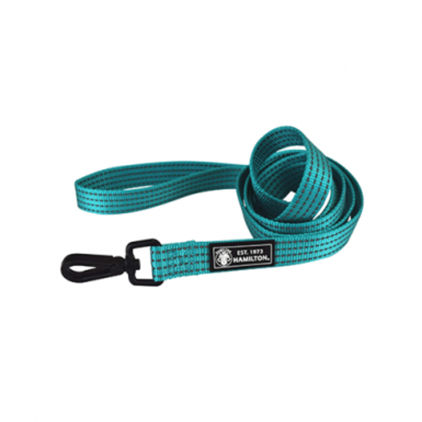 Hamilton High Visibility Adjustable Lead  - Turquoise - 1 in X 6 ft