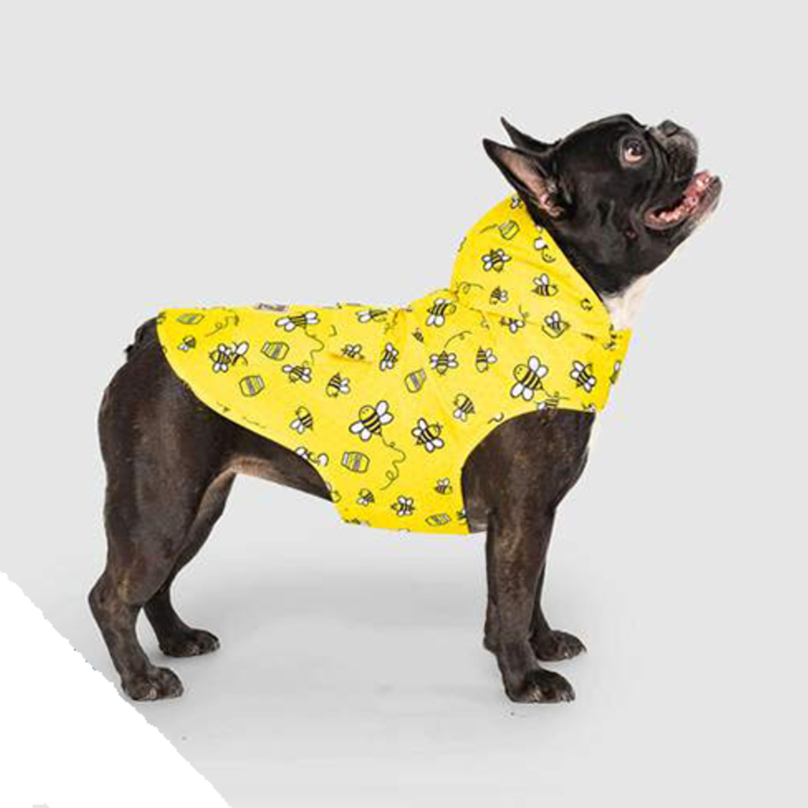 Canada Pooch Pick Me - Poncho Bee