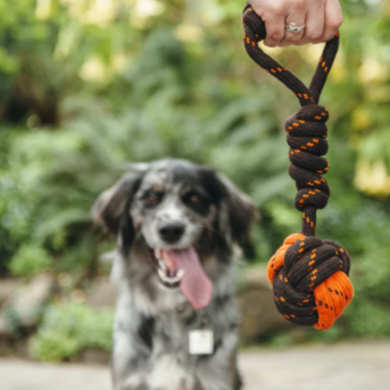 Pet P.L.A.Y. Tug Ball Rope Toy