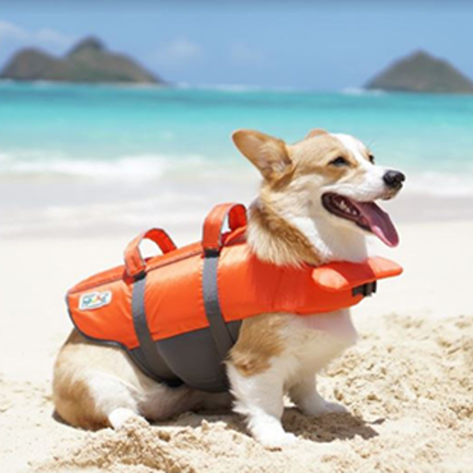 Outward Hound Granby Splash Life Jacket - Orange