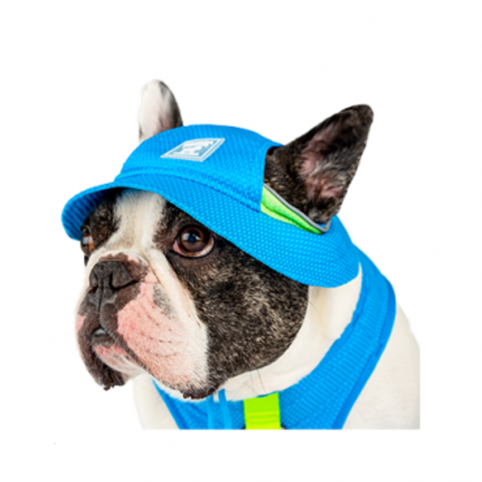 Canada Pooch Chill Seeker - Cooling Bucket Hat - Blue