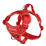 RC Pets Momentum Control Harness - Goji Berry