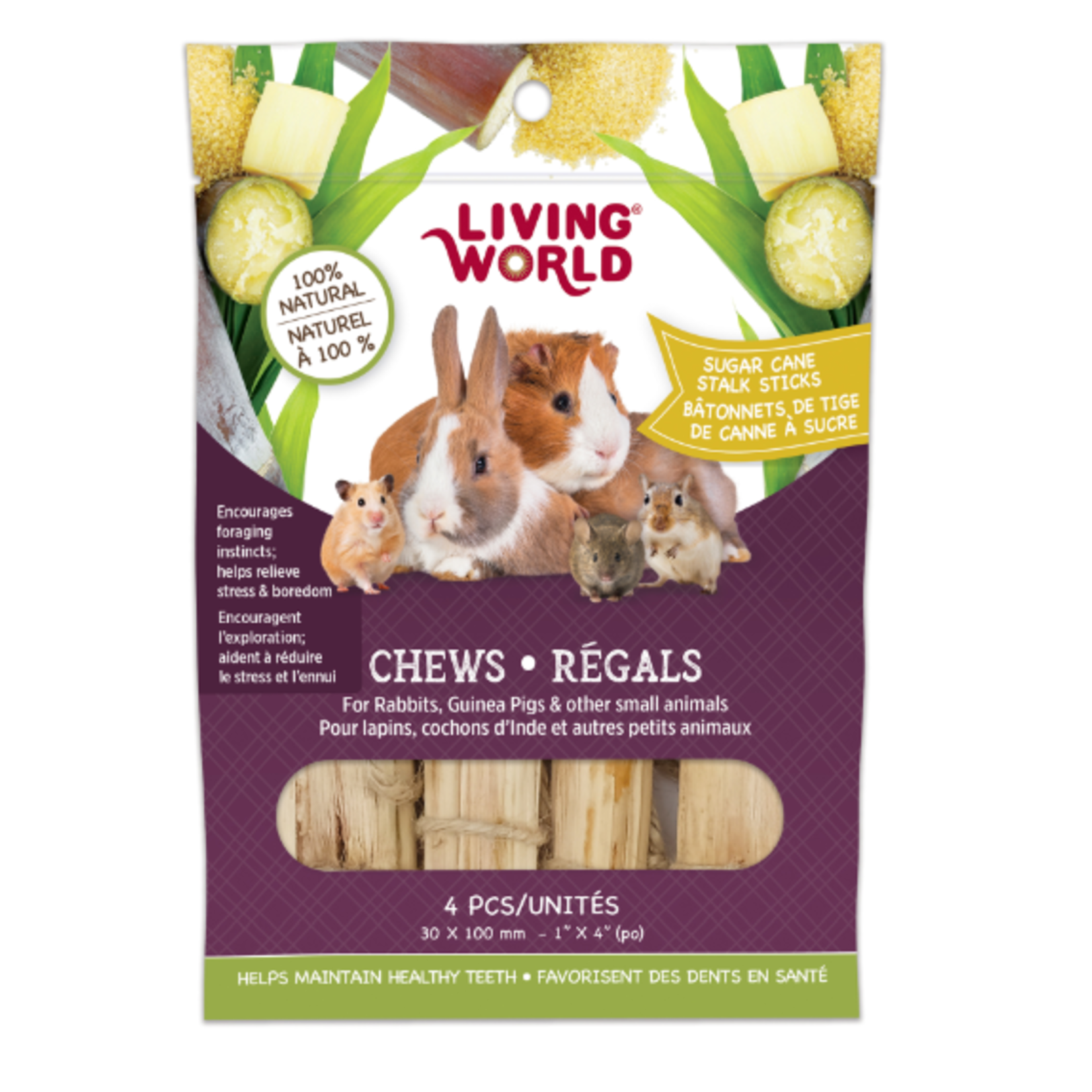 Living World Small Animal Chews - Sugarcane Stalk Sticks - 4 pieces