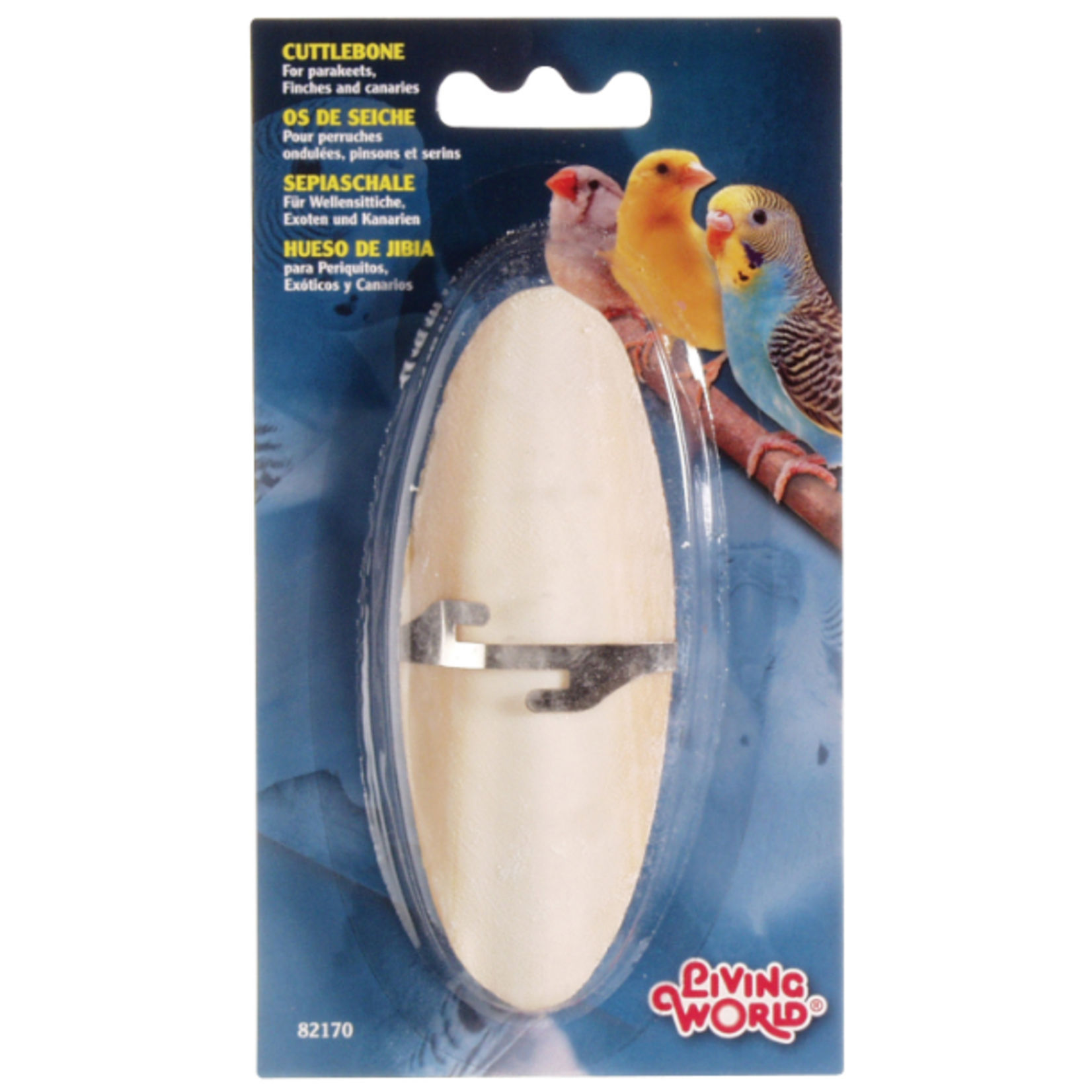 Living World Os de seiche avec attache - Small - 5 po