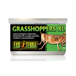 Exo Terra Canned Grasshoppers - XL - 34 g
