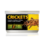 Exo Terra Aliments en conserve - Petits grillons (crickets) - 34 g