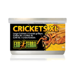 Exo Terra Aliments en conserve - Grillons (crickets) - 34 g