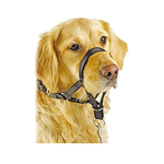 Pawise Dog Head Collar