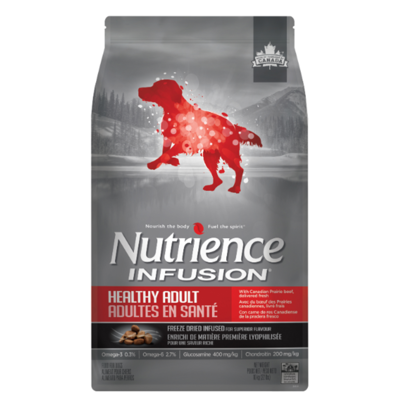 Nutrience Infusion - Healthy Adult - Beef - 22 lbs