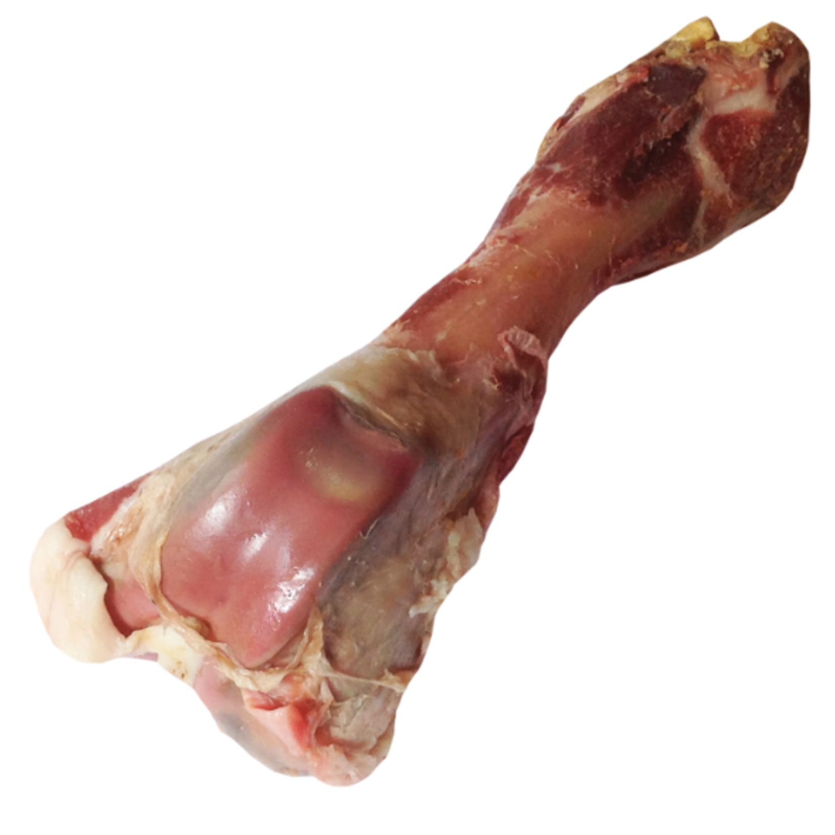 Dogit Charcuterie - Prosciutto Bone - Large Femur