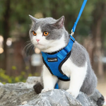 Reflective Cat Harness with Matching Leash - Blue