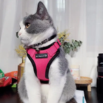 Reflective Cat Harness with Matching Leash - Pink