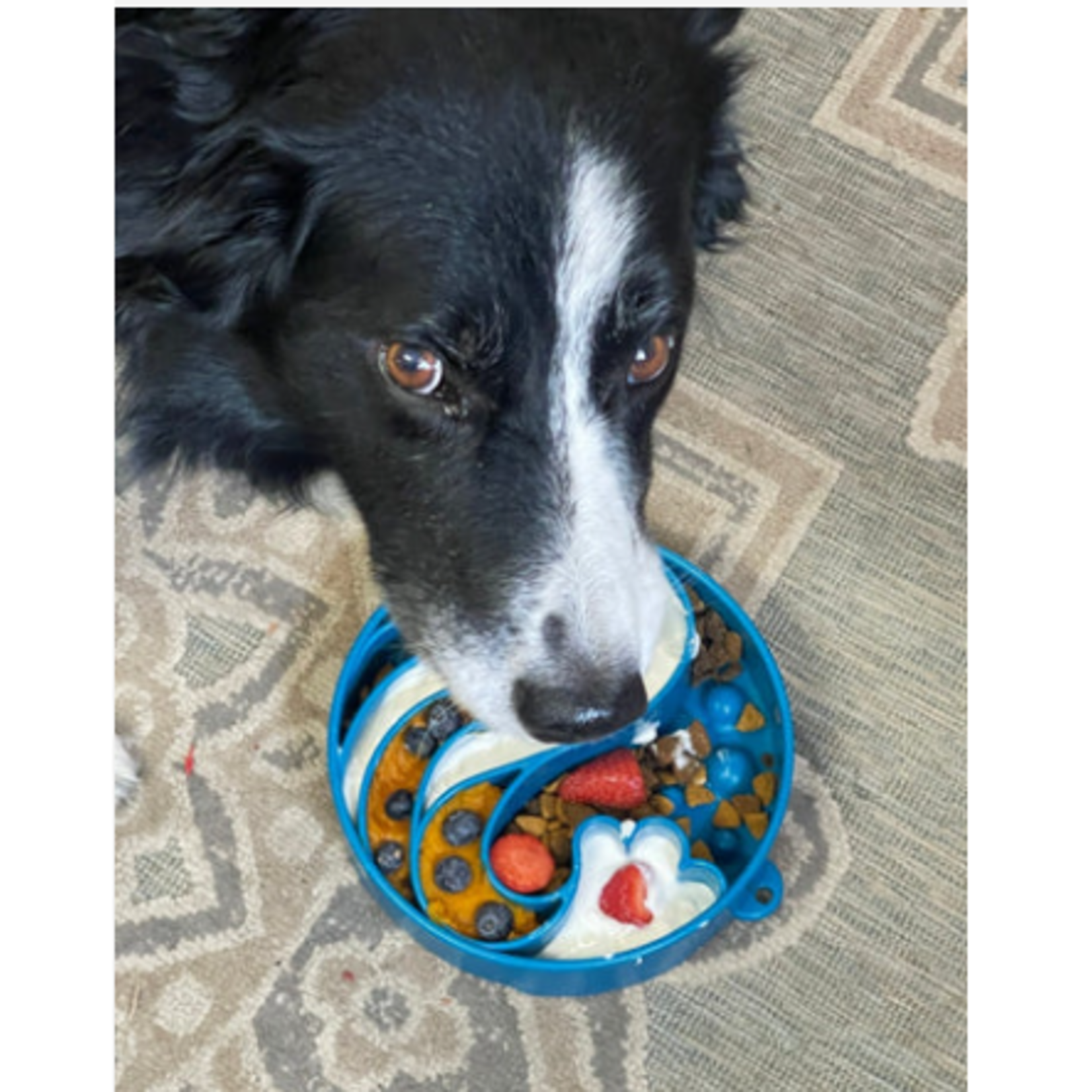 Wave Design - Slow Feeder Bowl for dogs