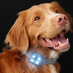 RC Pets Nova LED Light