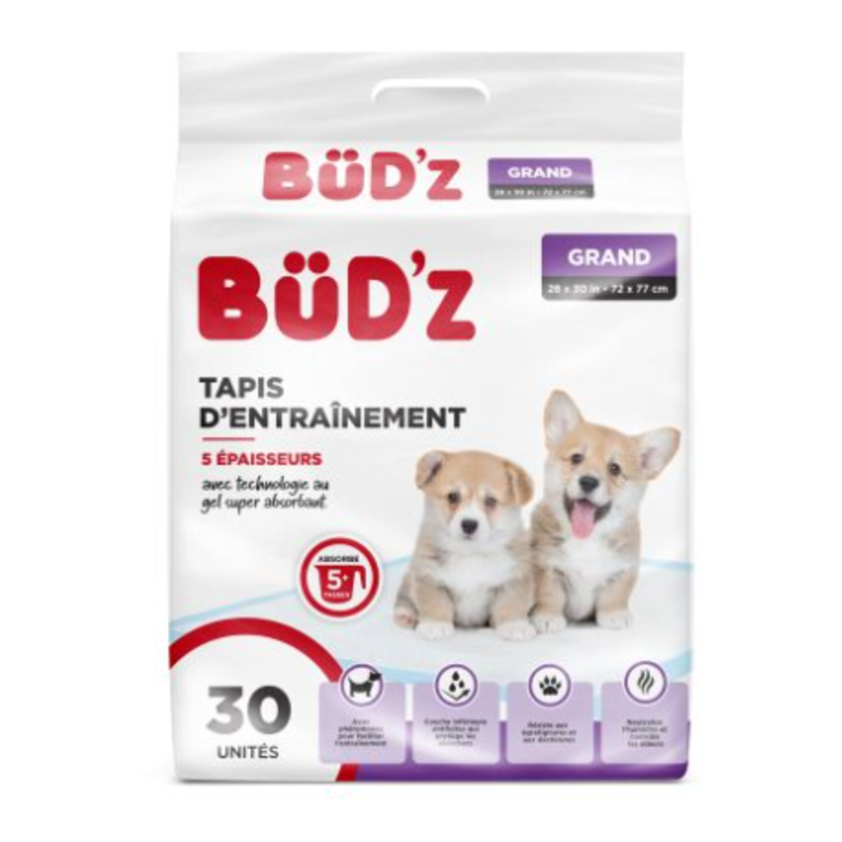 bud'z Tapis d'entrainement pour chiens